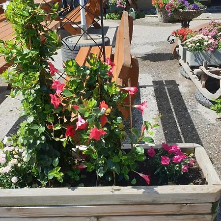 Schoenauer Hof Bach (Tyrol)