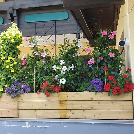 Schonauer Hof Bach (Tyrol)