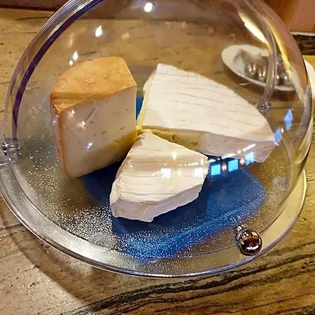 Schoenauer Hof מלון 3*