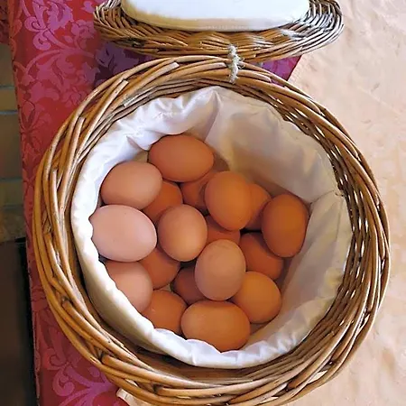 Schoenauer Hof