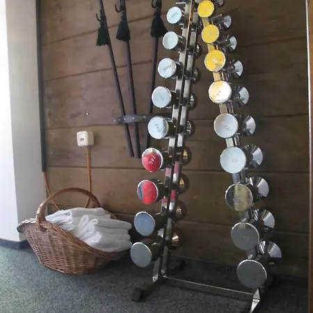 Schonauer Hof Otel Bach (Tyrol)