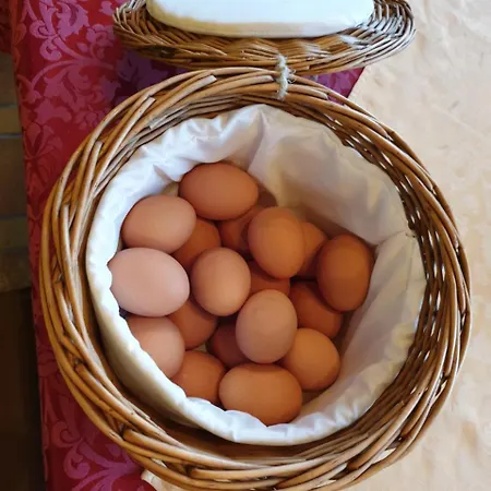 Schoenauer Hof Bach (Tyrol)