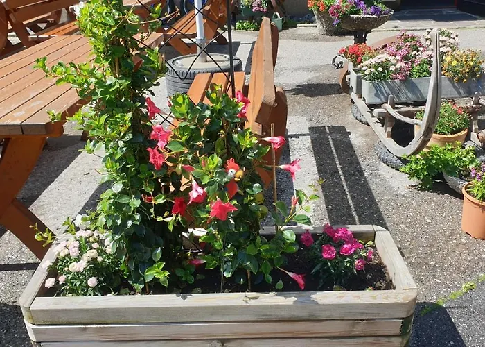 Schoenauer Hof Bach (Tyrol)