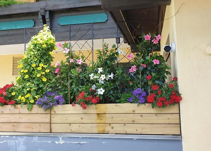 Schoenauer Hof Bach (Tyrol)