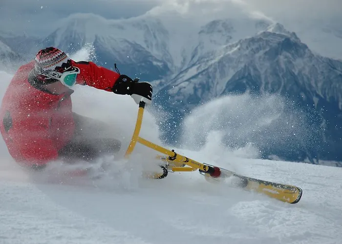 Ξενοδοχείο Schoenauer Hof 3*