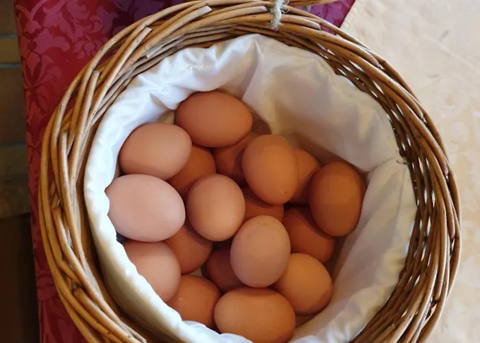 Schoenauer Hof Bach (Tyrol)